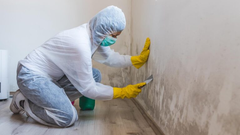 The Ecology of the Indoor Environment: A Study in Fungal Suppression