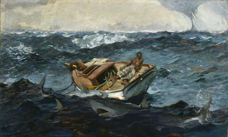 The Coastal Crucible: Resilience and Esthetics in Salt-Heavy Environments